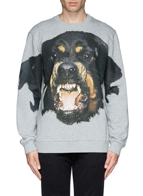 givenchy rottweiler sweatshirt style|Givenchy rottweiler print sweatshirt.